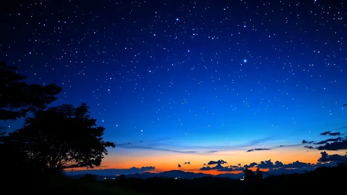 Night Sky with Stars