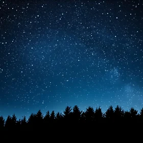 Celestial Canopy Above Forest Silhouette