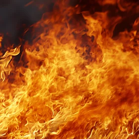Intense Fiery Blaze Image
