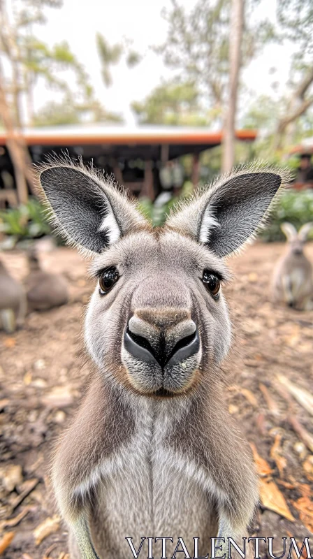 Inquisitive Kangaroo Staring AI Image