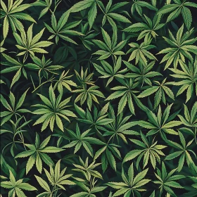 Botanical Green Leaves Illustration