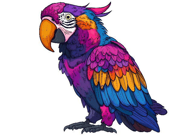 POD Design Colorful Parrot Illustration