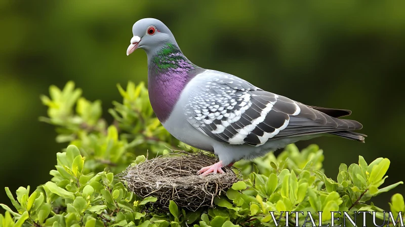 Pigeon on Nest Amidst Green Foliage AI Image