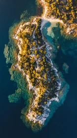 Bird's Eye View of Serene Island Oasis