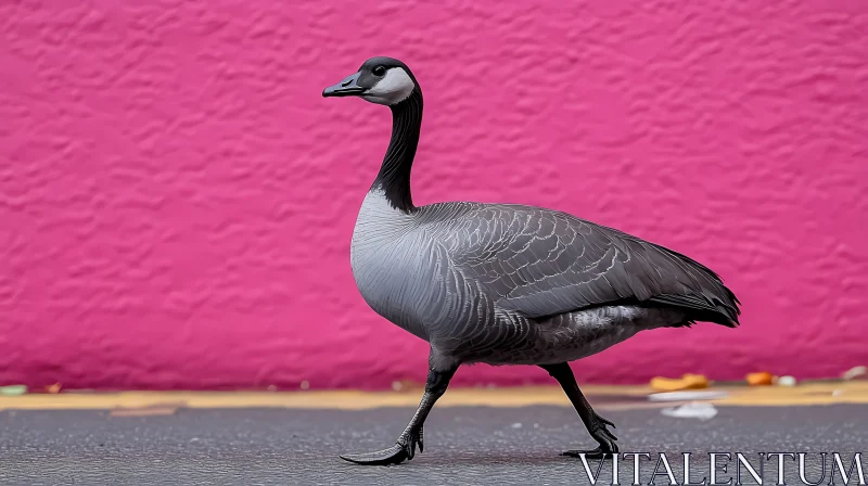 Urban Goose Against Vibrant Wall AI Image