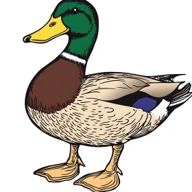 Colorful Duck Vector Image