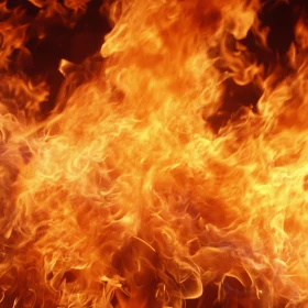 Bright Orange and Yellow Fire Close-Up