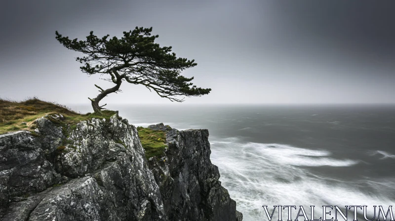 AI ART Lonely Tree on Cliff Edge Over Ocean