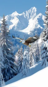 Eagle in Winter Landscape