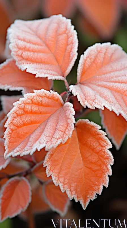 Frost-Adorned Leaves in Light Pink and Orange Tones AI Image