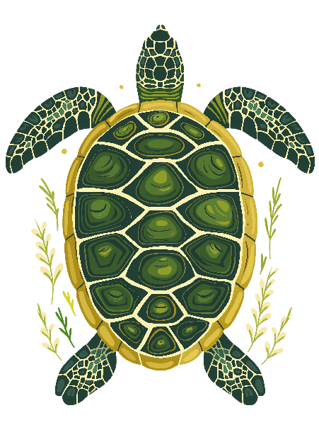 Turtle Shell Artwork for Apparel POD Design