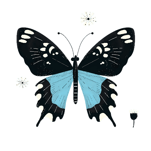 Blue and Black Butterfly with White Flowers on Transparent Background POD Design