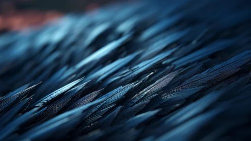 Exquisite Black Feather Against Blue Background Rendered in Cinema4D