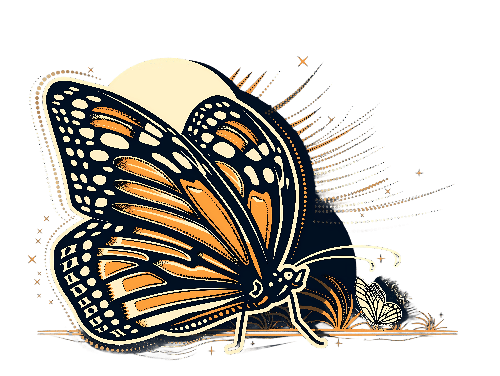 POD Design Exquisite Monarch Butterfly Illustration on Transparent Background