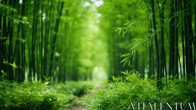 Serene and Tranquil Bamboo Forest Path AI Image