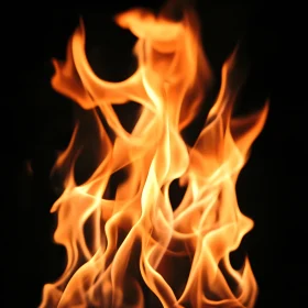 Fiery Flames Against Dark Background