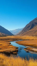 Golden Valley with Meandering River