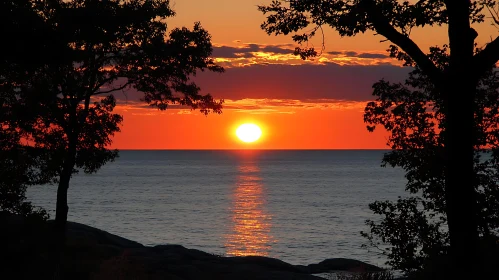 Ocean Sunset Framed by Trees