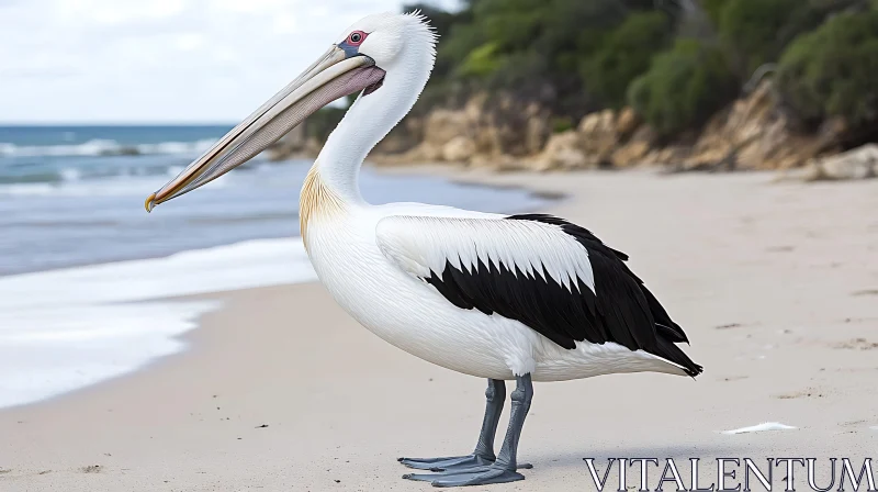 Pelican Portrait at the Beach AI Image