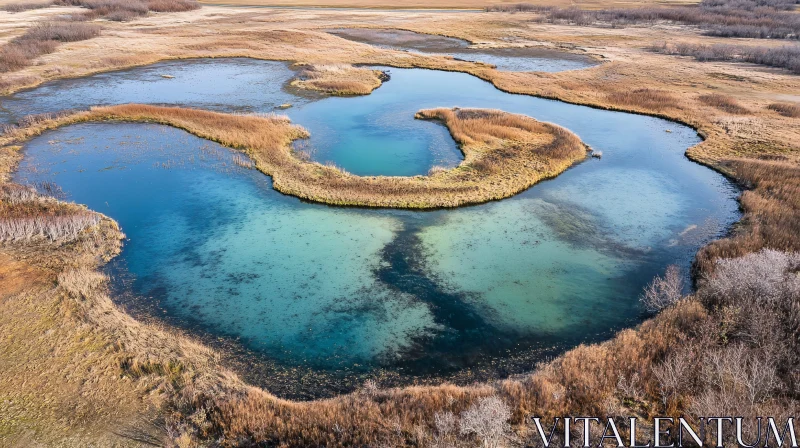 Serene Meandering Lake with Clear Waters AI Image