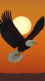 Eagle Soaring at Sunset