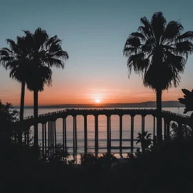 Palm Trees Silhouetted at Sunset