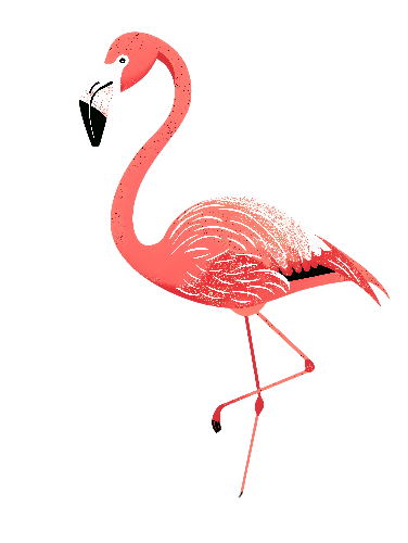 Pink Flamingo T-Shirt Design - Tropical Fashion Inspiration