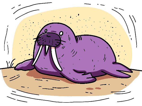 Playful Walrus Graphic Tee Art POD Design