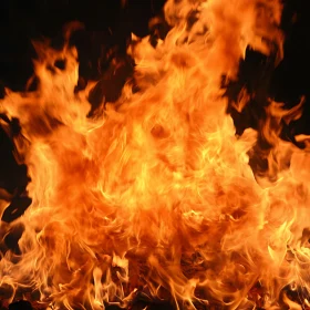 Vivid Flames in Motion