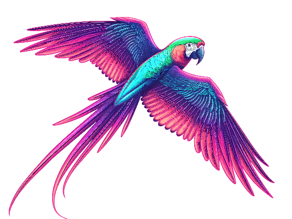 Tropical Parrot in Flight POD Design