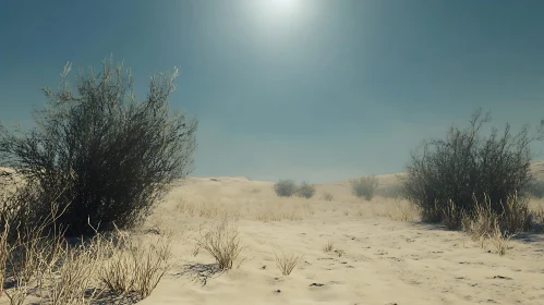 Tranquil Desert Scene