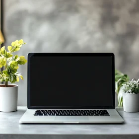 Tidy Desk Setup with Laptop and Greenery