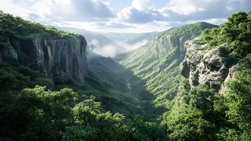 Mountain Valley Landscape with Forest-Clad Cliffs