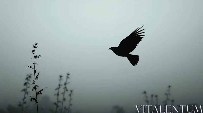 Bird Silhouette Over Foggy Field AI Image