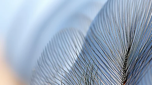 Macro Photograph of Futuristic Pewter Feather