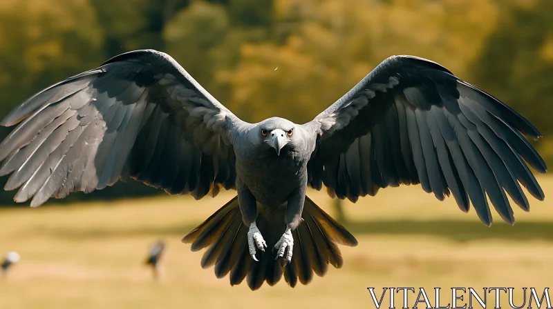 Soaring Eagle with Open Wings AI Image