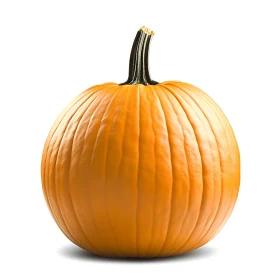 Isolated Orange Pumpkin on White