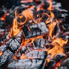 Blazing Flames and Glowing Embers
