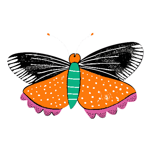 POD Design Digital Illustration of a Butterfly with Bright Orange Wings