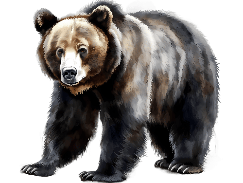 Grizzly Bear Digital Artwork - A Study in Strength and Nature POD Design