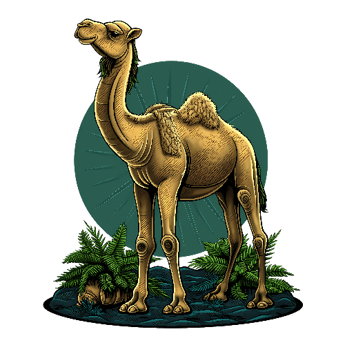 Humorous Cartoon Style Camel Vector Illustration POD Design