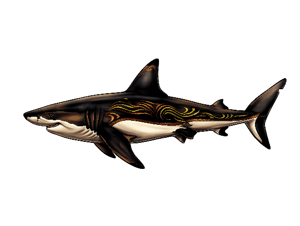 Artistic Tribal Shark POD Design