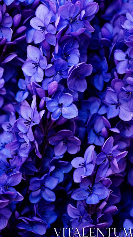 Close-up Lilacs in Dark Violet and Aquamarine - Macro Photography AI Image