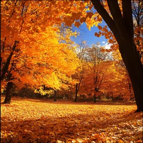 Autumnal Forest with Golden Leaves