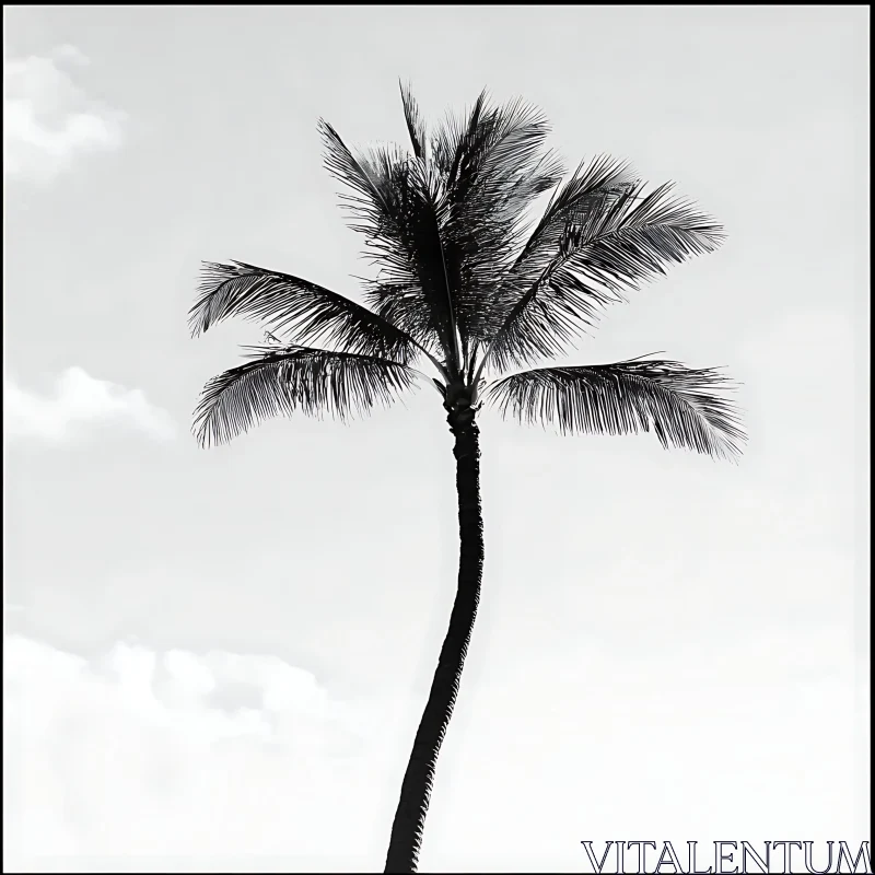 Monochrome Palm Tree Silhouette AI Image