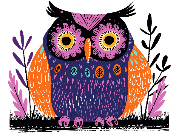 POD Design Colorful Owl Illustration