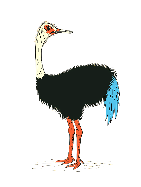 POD Design Whimsical Ostrich Design