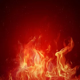 Vivid Fiery Display in Red and Yellow Hues