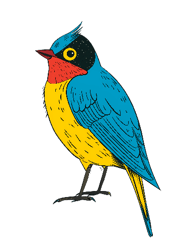 Cartoon-style Colorful Bird Illustration POD Design