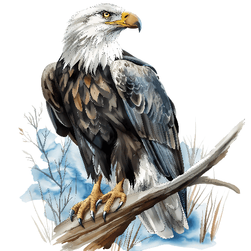 POD Design Majestic Bald Eagle Perched on Branch - Wildlife Art